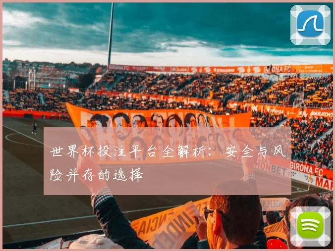 世界杯投注平台全解析：安全与风险并存的选择