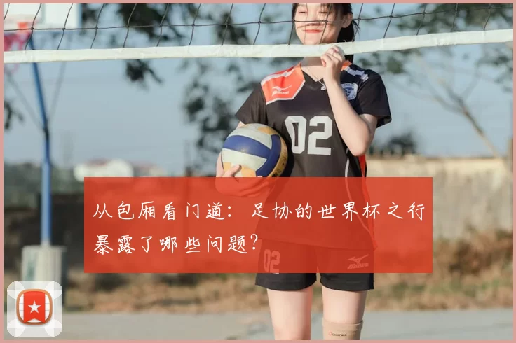 从包厢看门道:足协的世界杯之行暴露了哪些问题?