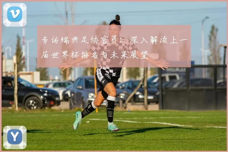 专访瑞典足协官员：深入解读上一届世界杯排名与未来展望