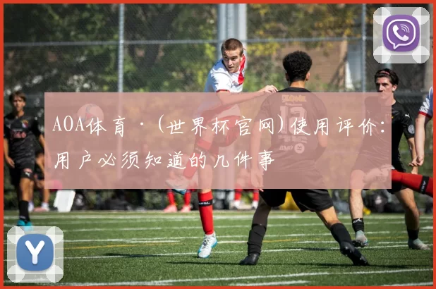 AOA体育·(世界杯官网)使用评价：用户必须知道的几件事