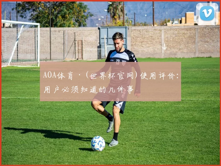 AOA体育·(世界杯官网)使用评价：用户必须知道的几件事