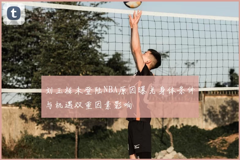 刘玉栋未登陆NBA原因曝光身体条件与机遇双重因素影响