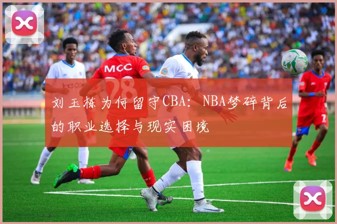 刘玉栋为何留守CBA：NBA梦碎背后的职业选择与现实困境