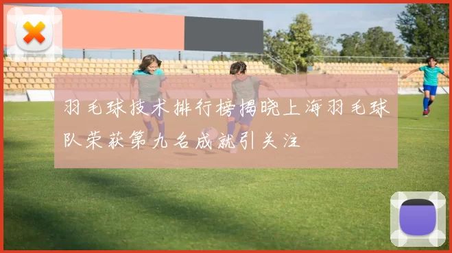 羽毛球技术排行榜揭晓上海羽毛球队荣获第九名成就引关注