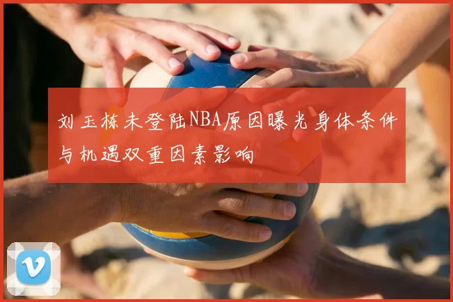 刘玉栋未登陆NBA原因曝光身体条件与机遇双重因素影响