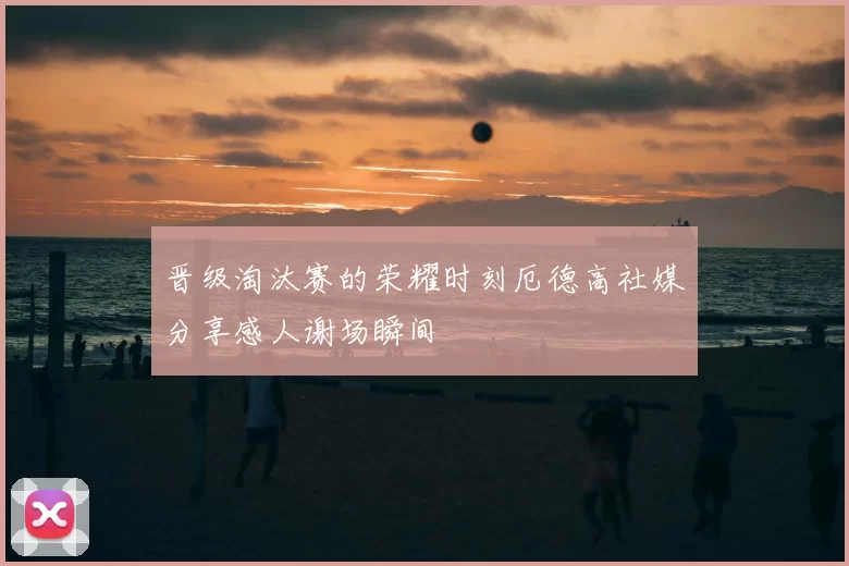 晋级淘汰赛的荣耀时刻厄德高社媒分享感人谢场瞬间