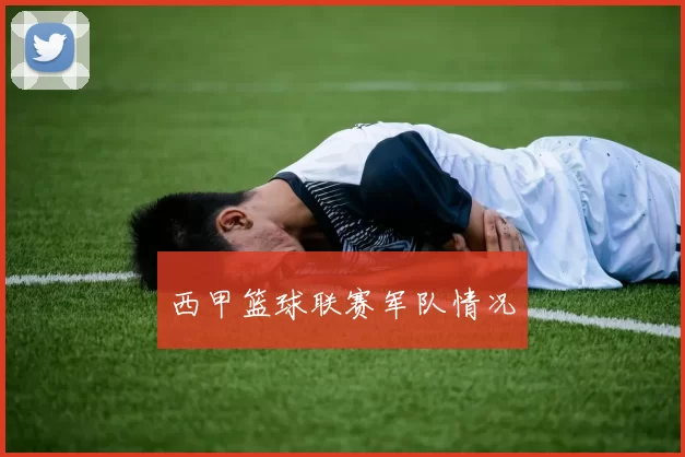 西甲篮球联赛军队情况