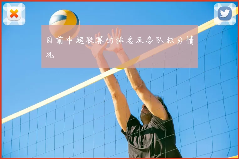 目前中超联赛的排名及各队积分情况