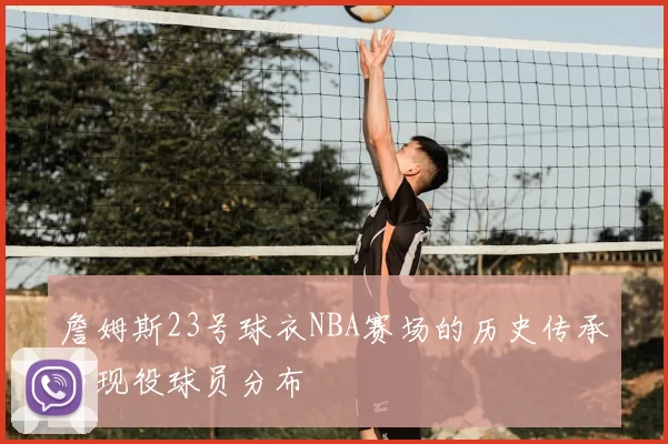 詹姆斯23号球衣NBA赛场的历史传承与现役球员分布