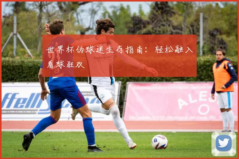 世界杯伪球迷生存指南:轻松融入看球狂欢
