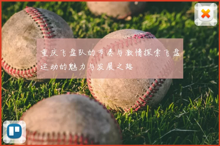 重庆飞盘队的节奏与激情探索飞盘运动的魅力与发展之路