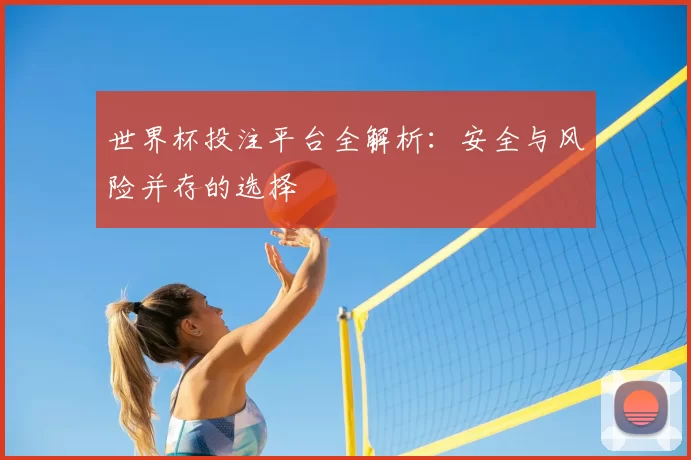 世界杯投注平台全解析：安全与风险并存的选择