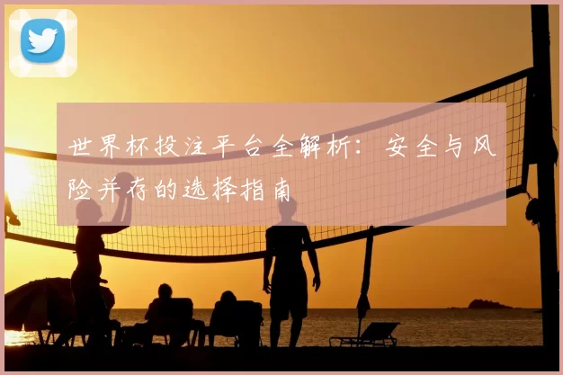 世界杯投注平台全解析:安全与风险并存的选择指南